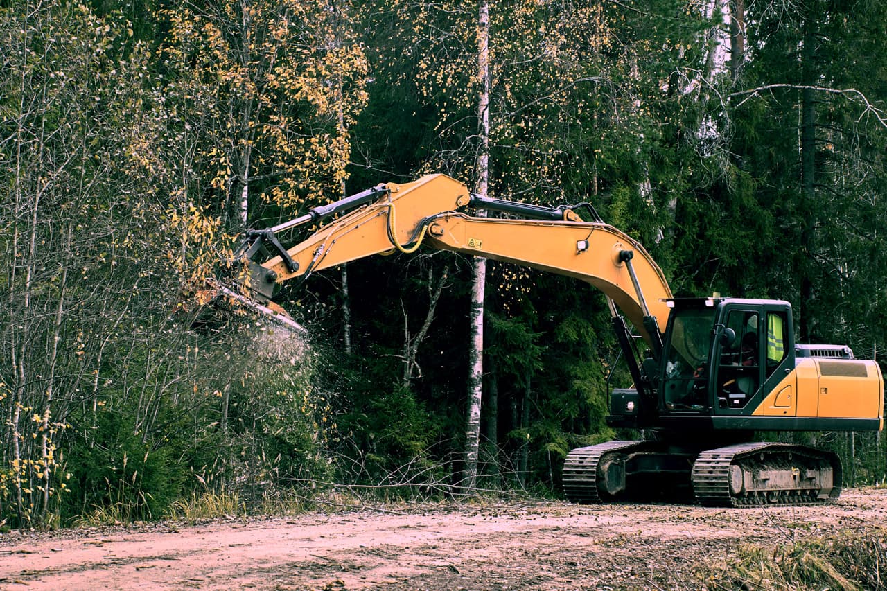 forest mulcher