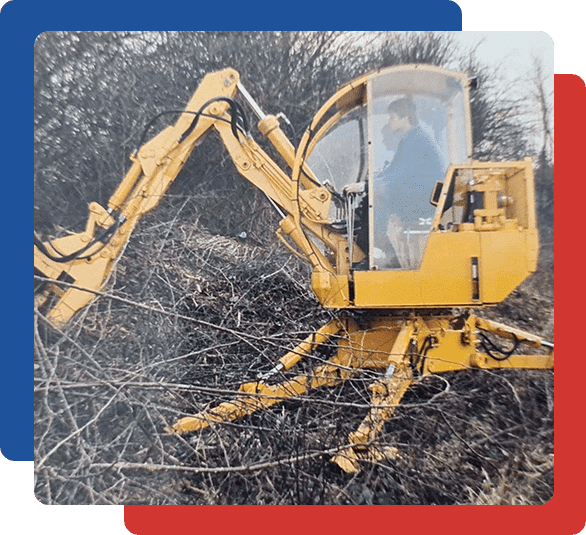 Product photography of a spider tractor
