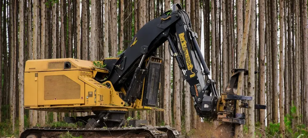 feller buncher
