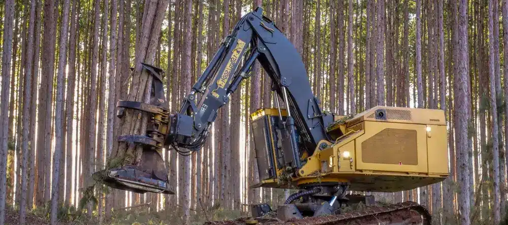 feller buncher