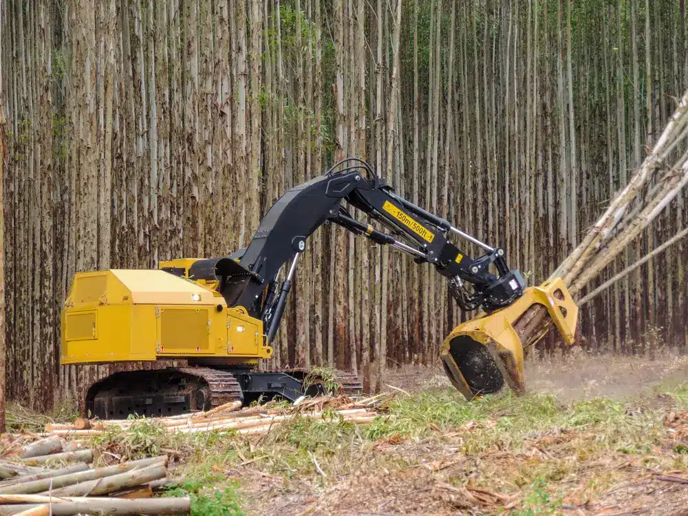 feller buncher