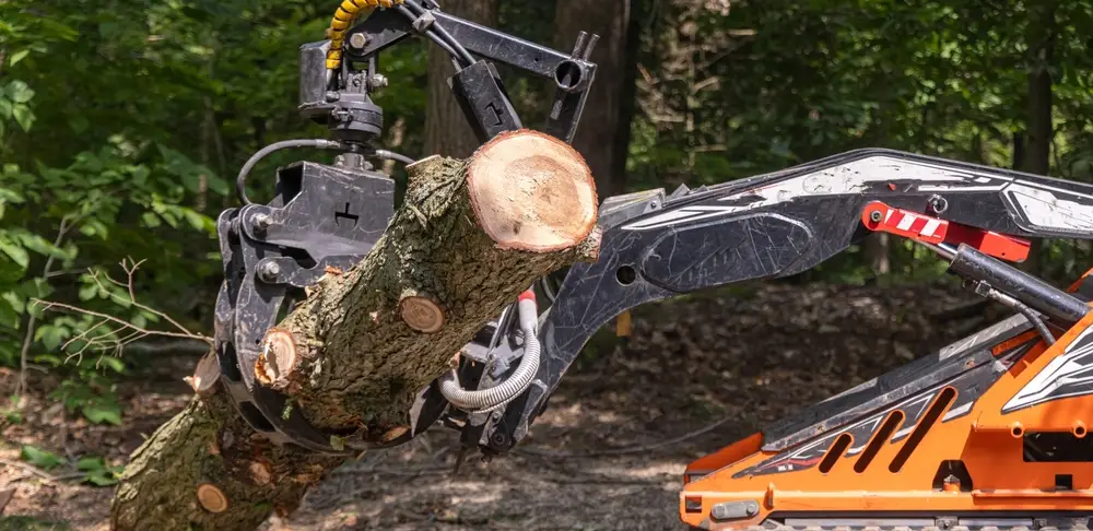 essential forestry equipment