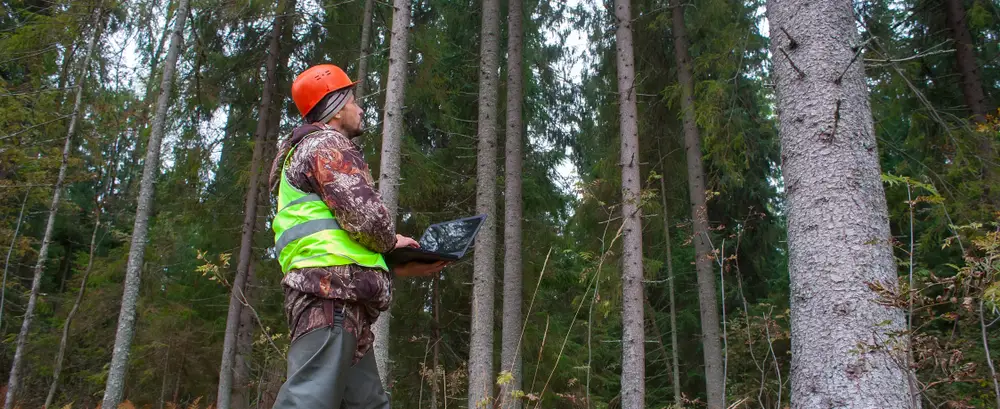 forest management tool