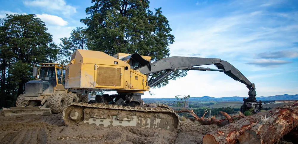 feller buncher