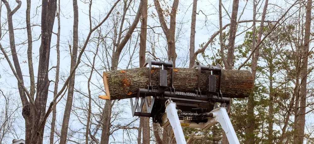 Felling shear