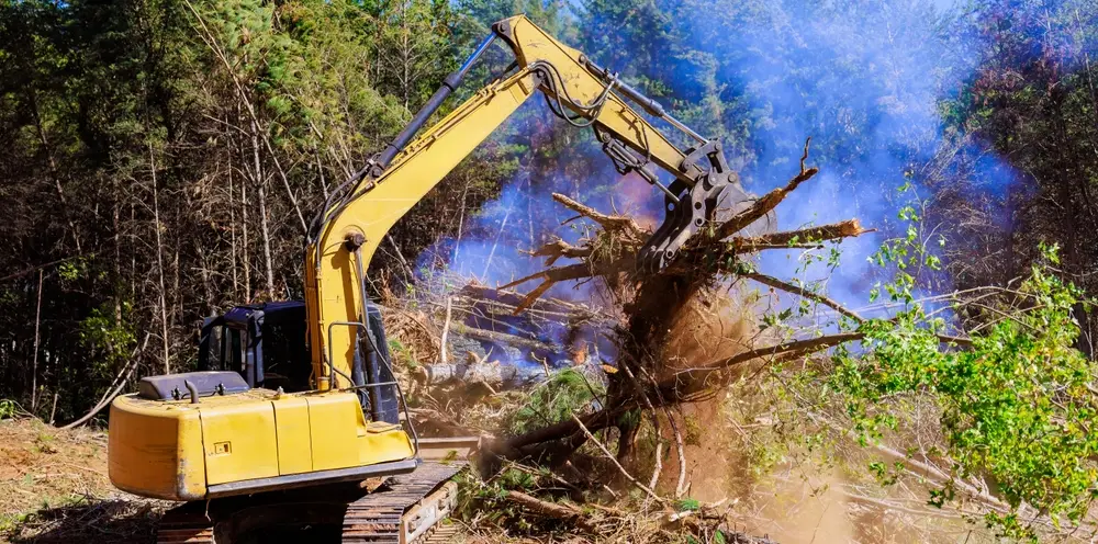 forest machinery