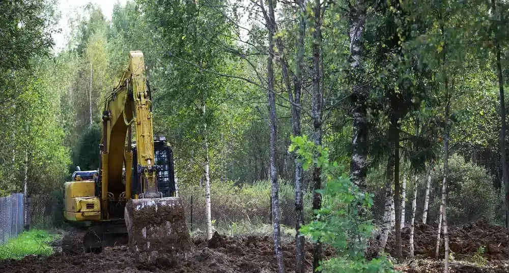 The role of a forestry mulcher